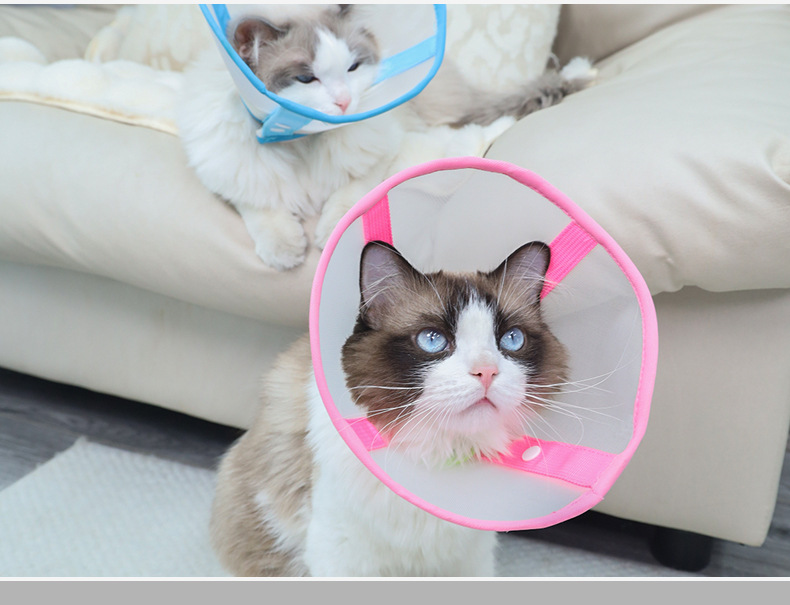 猫咪伊丽莎白圈加深可视透气纱网绝育圈猫咪伤口防舔脖圈宠物用品详情10