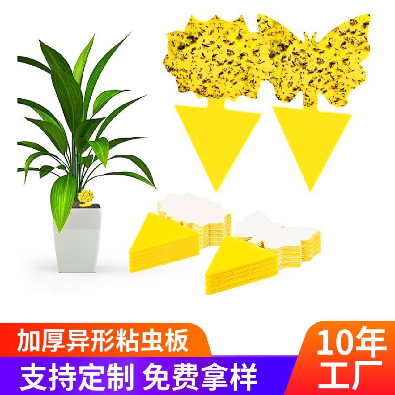 3-127出口欧美国家 昆虫粘 蛾虫粘 老鼠贴 苍蝇粘详情4
