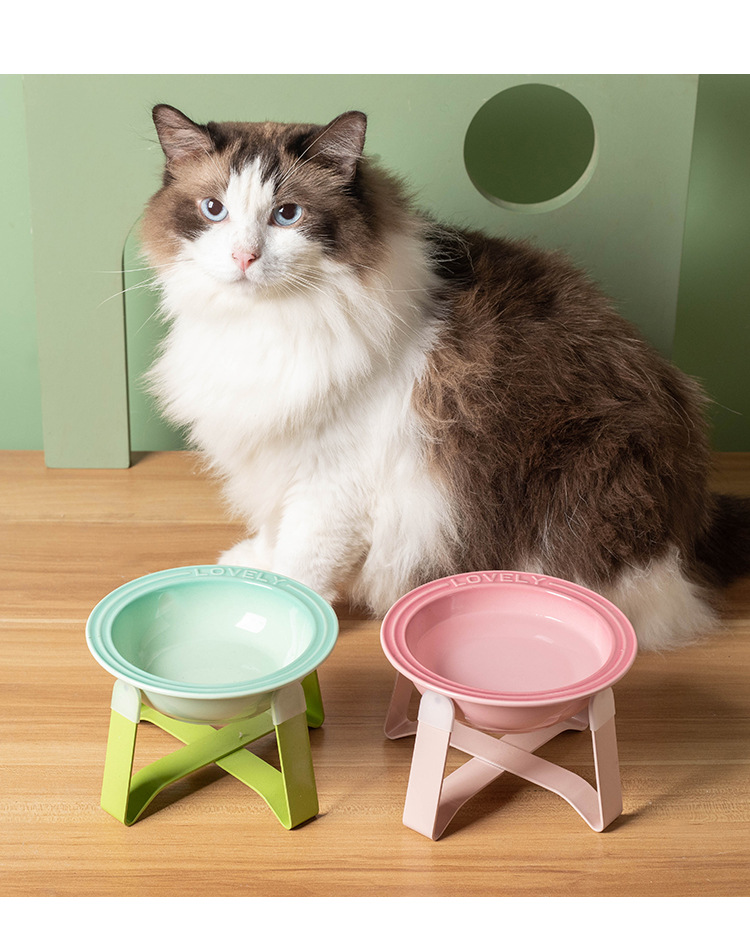 Wow, custom-made French cat bowl, pet bowl, ceramic cat bowl stand, protecting cervical vertebrae, cat bowl, small pet dog bowl pic 13