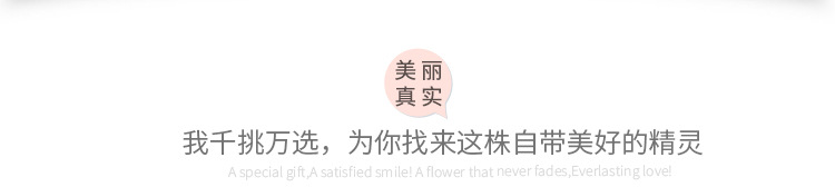 假叶子大型婚庆花草波斯草绿植 假树叶绿色装饰墙面蕨类仿真植物详情9