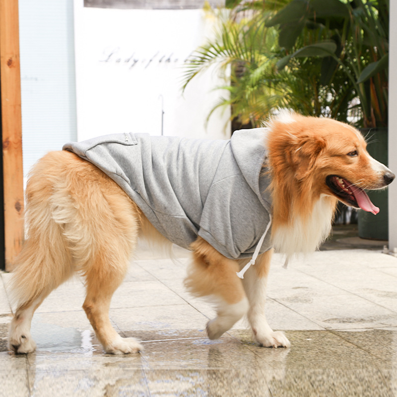 Otoño e invierno peluche de oro cremallera de bolsillo sudaderas grandes y medianas para perros perros ropa de gato fardo suministros para mascotas pic 14