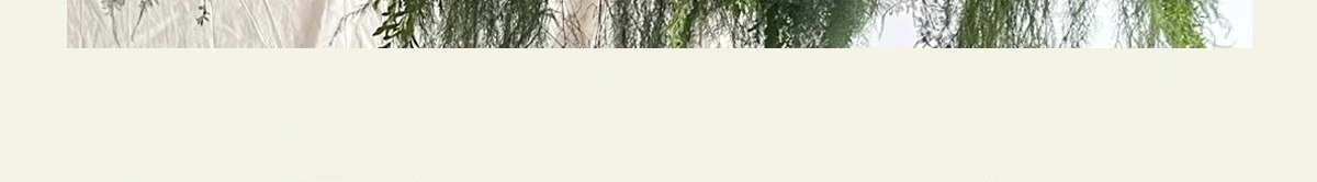 森系仿真花婚庆室外婚礼场景仿真绿植芦荀草订婚场地造景假花热销详情9