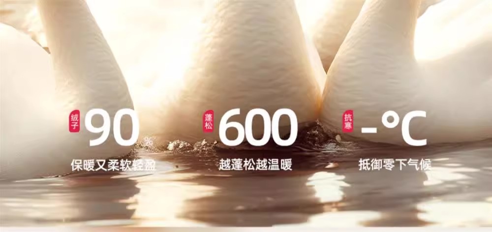 90鹅绒内搭男女同款2025年秋冬T恤情侣保暖上衣圆领长袖白鹅绒详情5