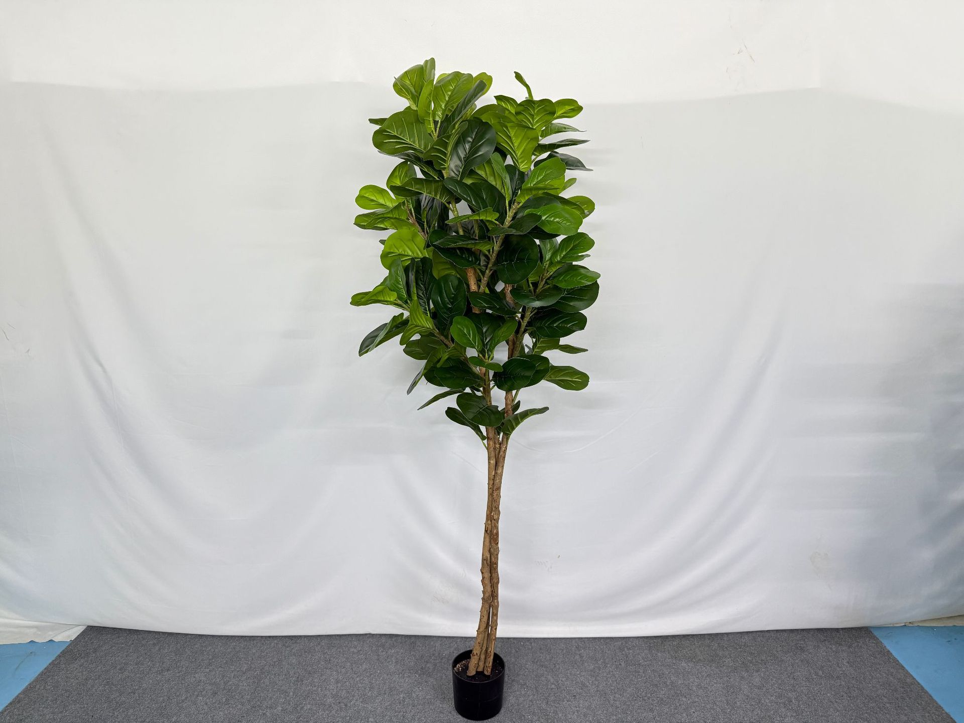 Simulated new style Ficus lyrata potted plant, large home floor-standing decorative item, green plant for homestay and shopping mall decoration, Ficus lyrata pic 8