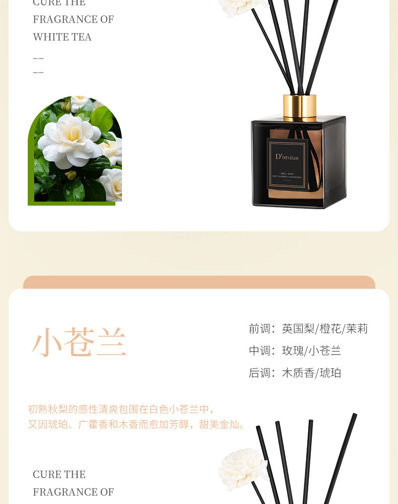 Dorsitan aromatherapy bottle, ecological bottle, acrylic vase, home decoration item, bamboo and cypress potted plant pic 11