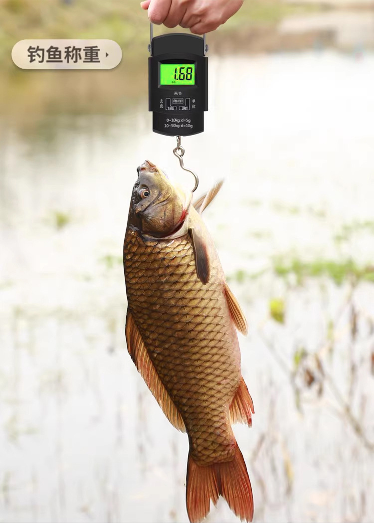High-precision portable electronic scale, household small portable spring scale, small scale, luggage hook, hand-pulled hanging scale, fish device pic 8