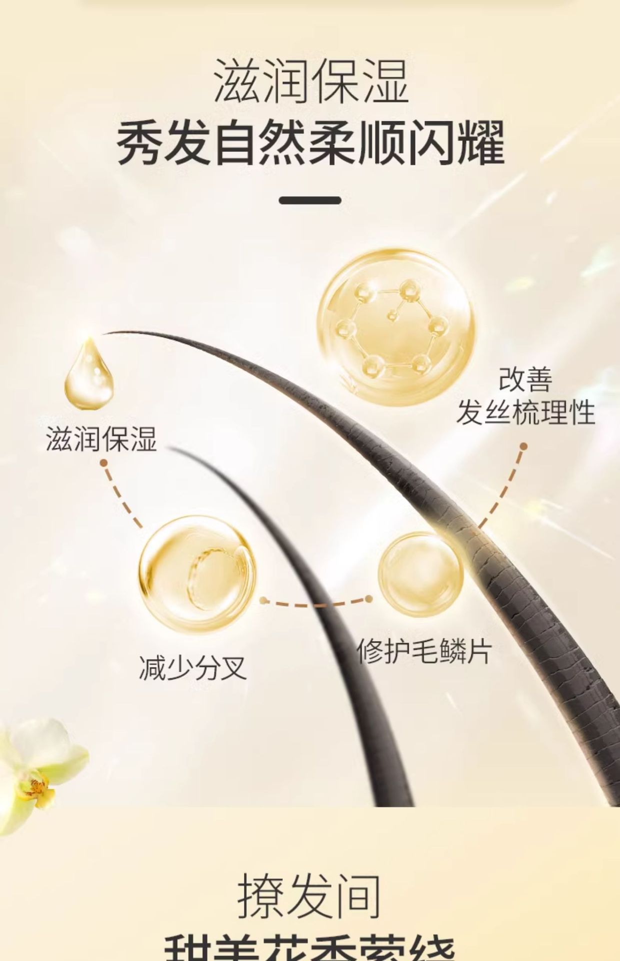 蜂花小麦蛋白护发素300ml保湿润发乳改善毛躁女柔顺顺滑批发代发详情6