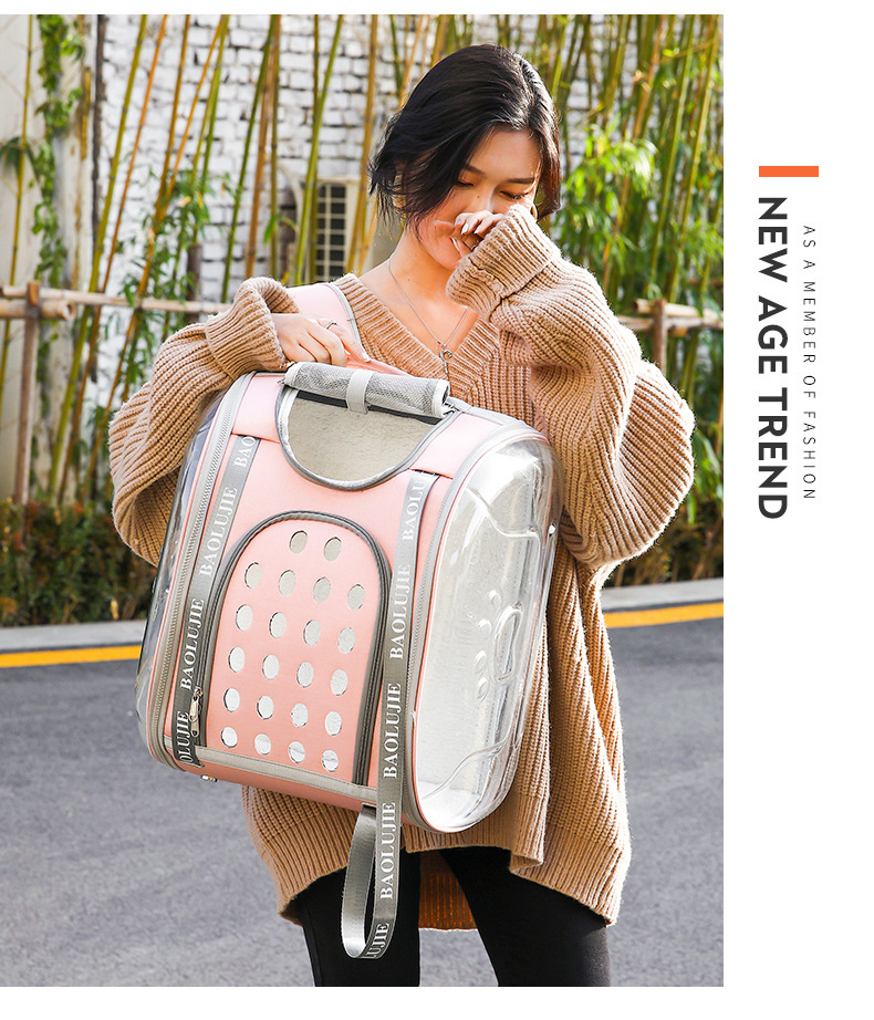 Pet bags, portable bags for going out, multi-purpose transparent space capsule hand-held cat bags, large-capacity two small cat backpacks pic 11