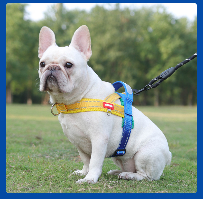 Cuerda de tracción para perros nueva correa de pecho para mascotas cinta ancha para golpear color patchwork no le pecho para perros espalda para caminar al aire libre cuerda para perros pic 12