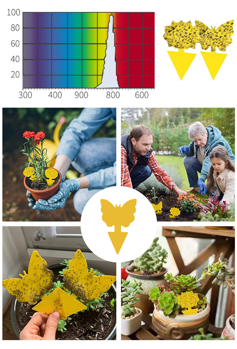 1-011 跨境亚马逊双面花形异形黏虫板粘虫板果蝇诱捕器昆虫陷阱黄色贴纸详情15