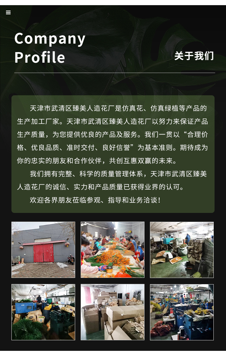 森系莫奈花园仿真花婚庆用花芦荟草蓬莱松尤加利绿叶批发办公文化园艺装饰详情10