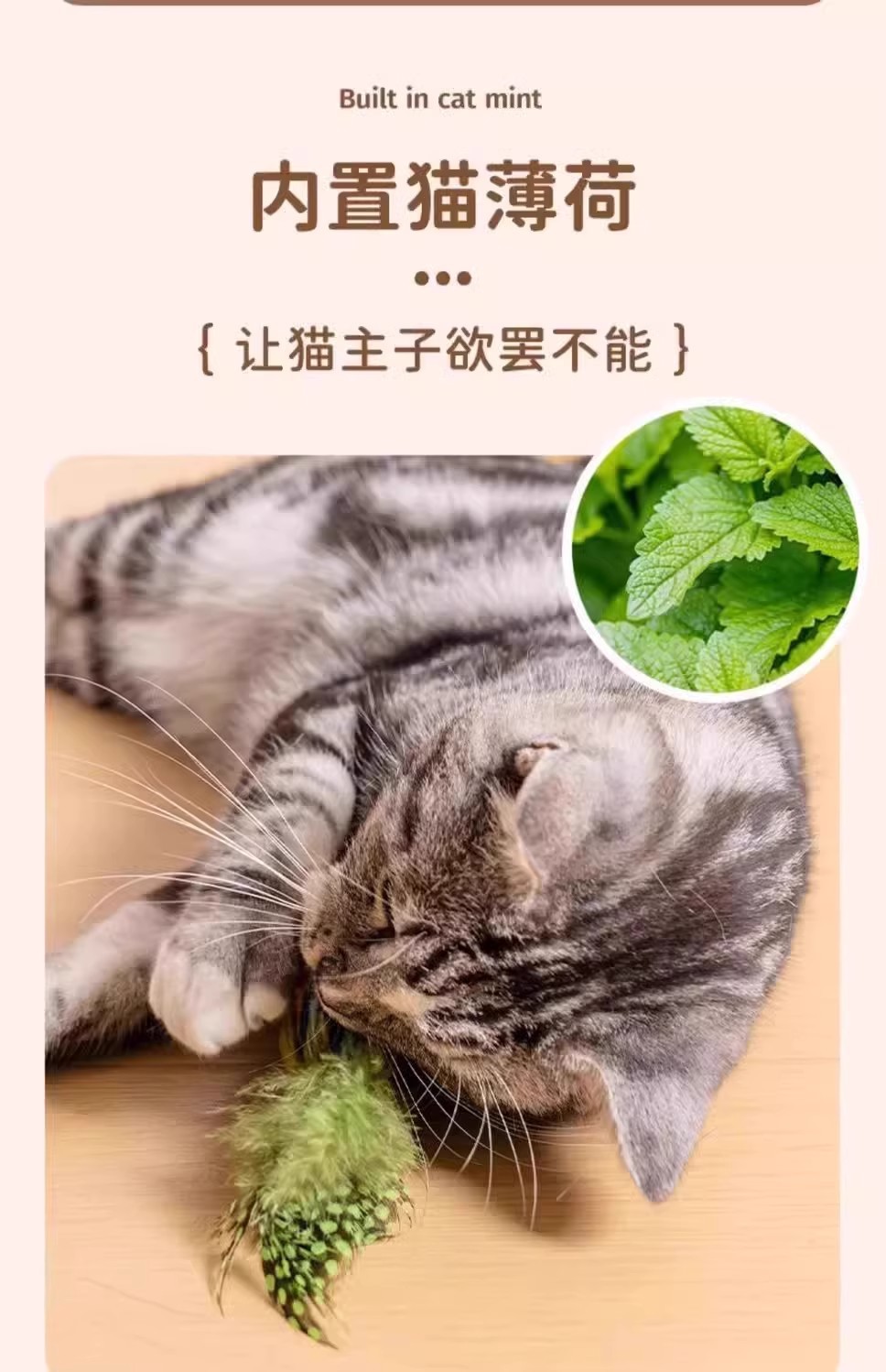 Cat toys, simulated little birds, self-entertaining and boring gadgets, cat teasing sticks, energy-consuming kitten toys, cat supplies pic 5