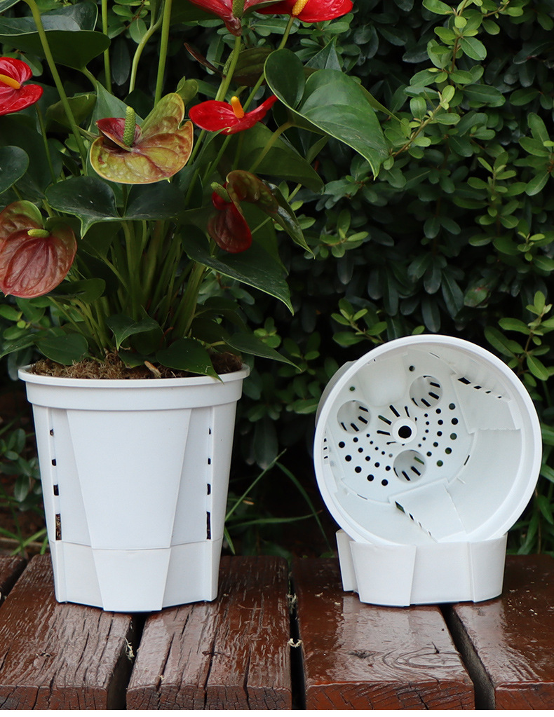 新款储水透明青山盆自吸水懒人盆控根盆朱顶红蝴蝶兰塑料花盆批发详情19