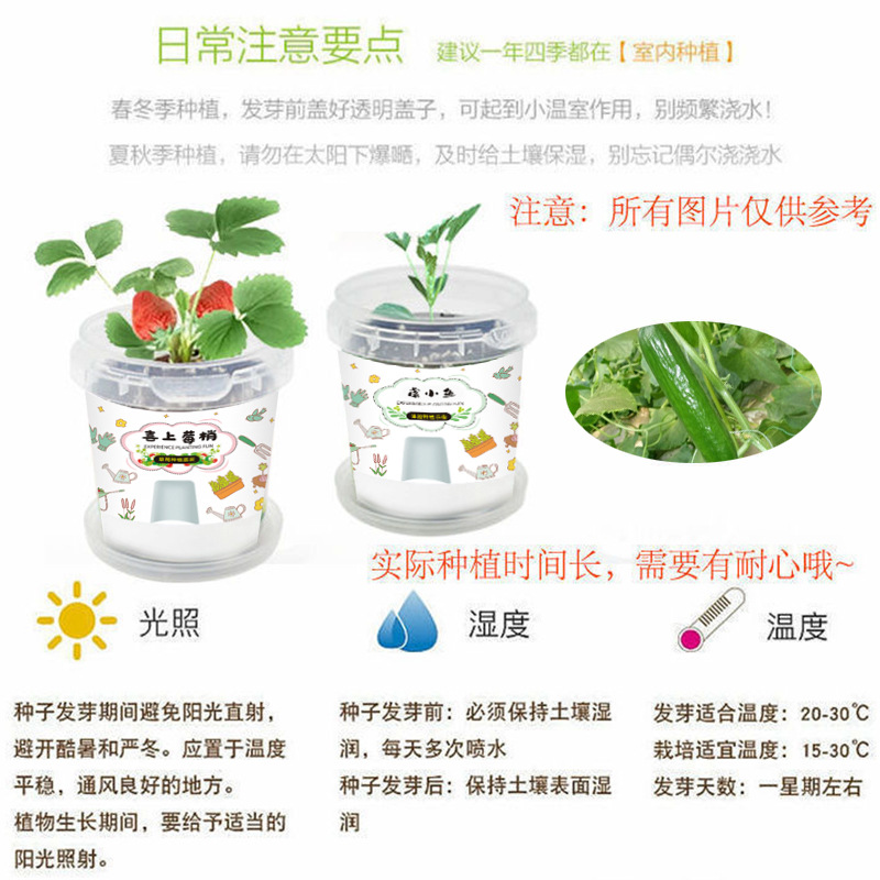 卡通情绪稳定盆栽室内迷你桌面小绿植儿童种植网红罐头观景盆栽批详情3
