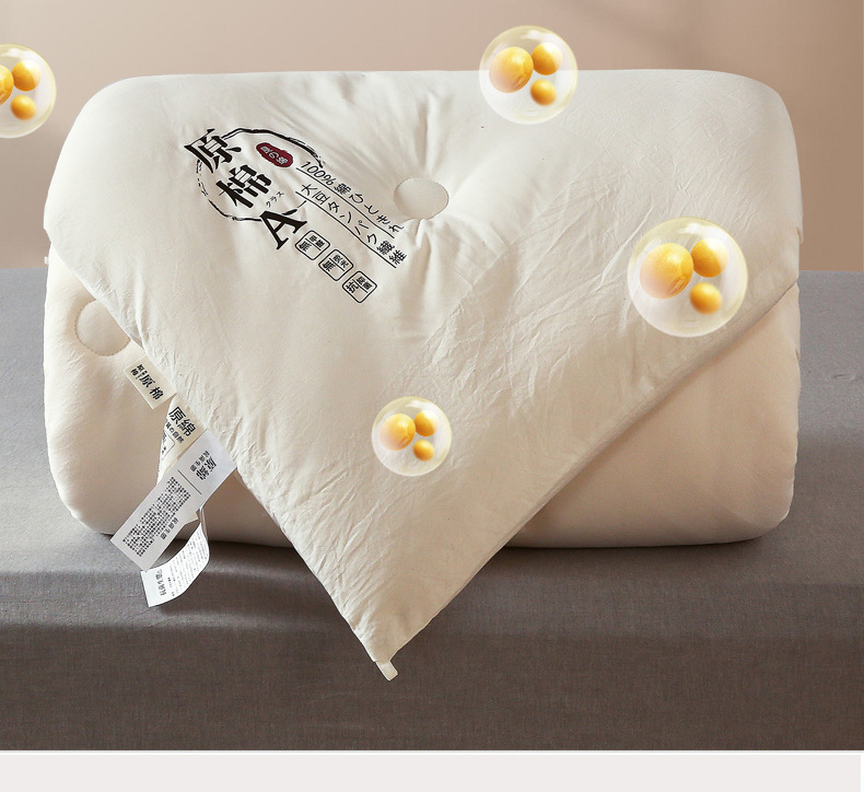 A类母婴大豆纤维被原棉加厚冬被宿舍酒店春秋夏被芯高端礼品被子详情3