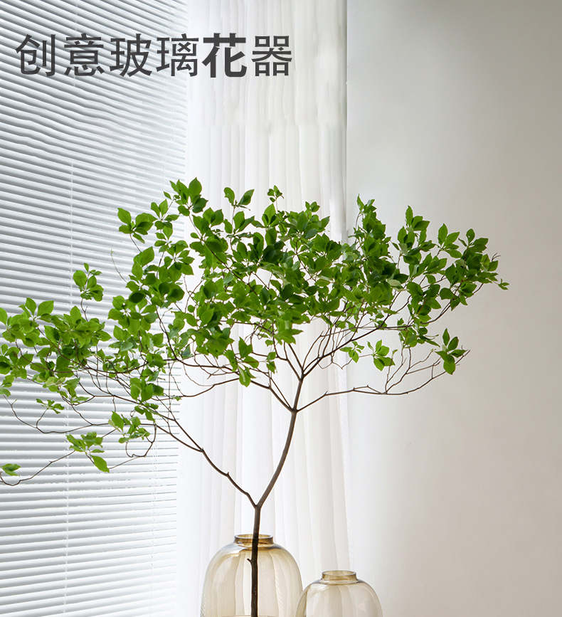 高级感花瓶摆件玻璃水培吊钟雪柳马醉木水养插花鲜花客厅落地装饰详情17