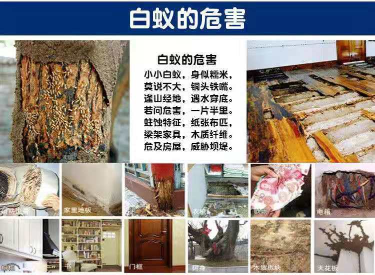 严选75克柏松白蚁杀虫粉消灭白蚁传染全巢死亡杀除白蚁家用白蚁药详情14