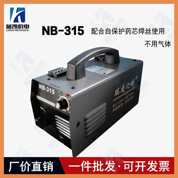 Ruiling Electric welding Machine 200, 250, 315 inverter pure copper mini household 220V small and convenient dual-voltage welding machine pic 4