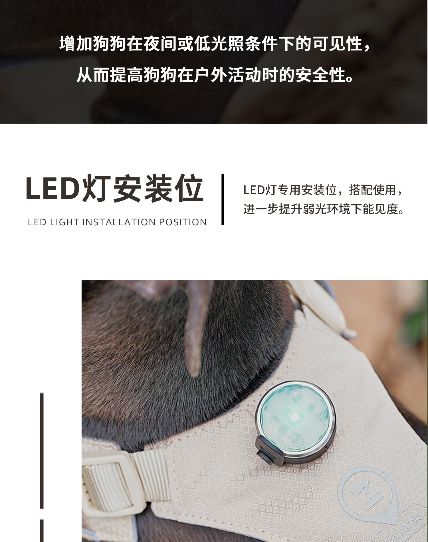 ZOOLAND狗狗胸背牵引绳遛幼小中大型犬泰迪柯基比熊边牧博美链子详情15