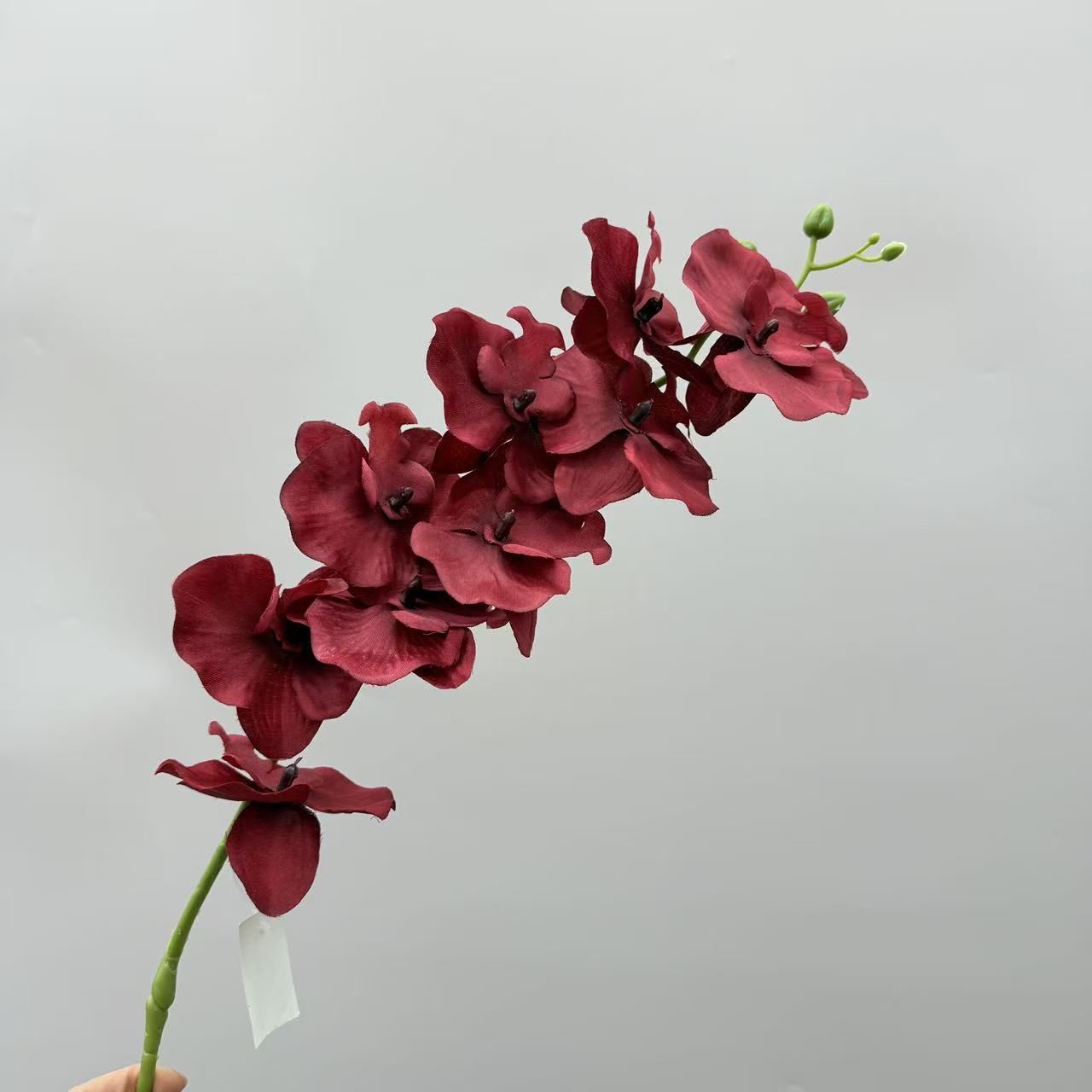 跨境仿真蝴蝶兰9头绢布客厅插花仿真花婚庆路引布景吊顶假花批发详情11