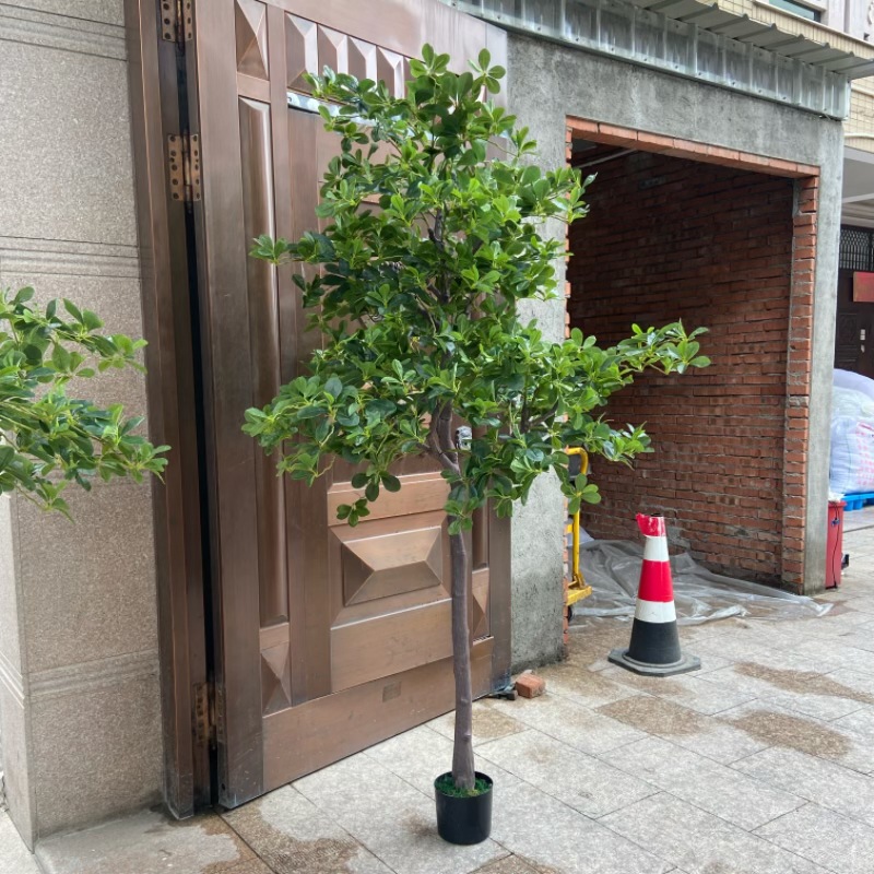 微信图片_20240925113942