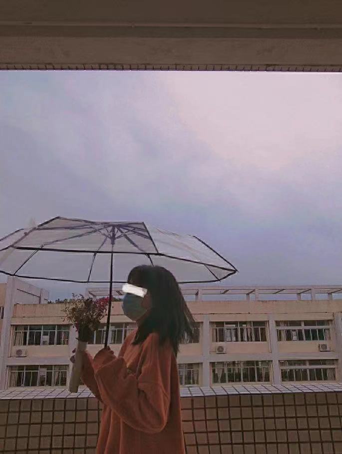 韩系透明雨伞折叠伞全自动ins系列男女款三折伞小清新加厚加固无详情14