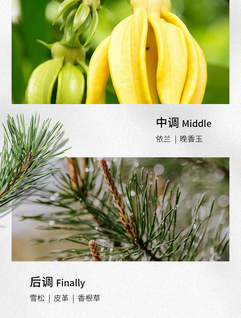 矿野男士香水批发持久淡香古龙香水木质香调跨境外贸香水详情5