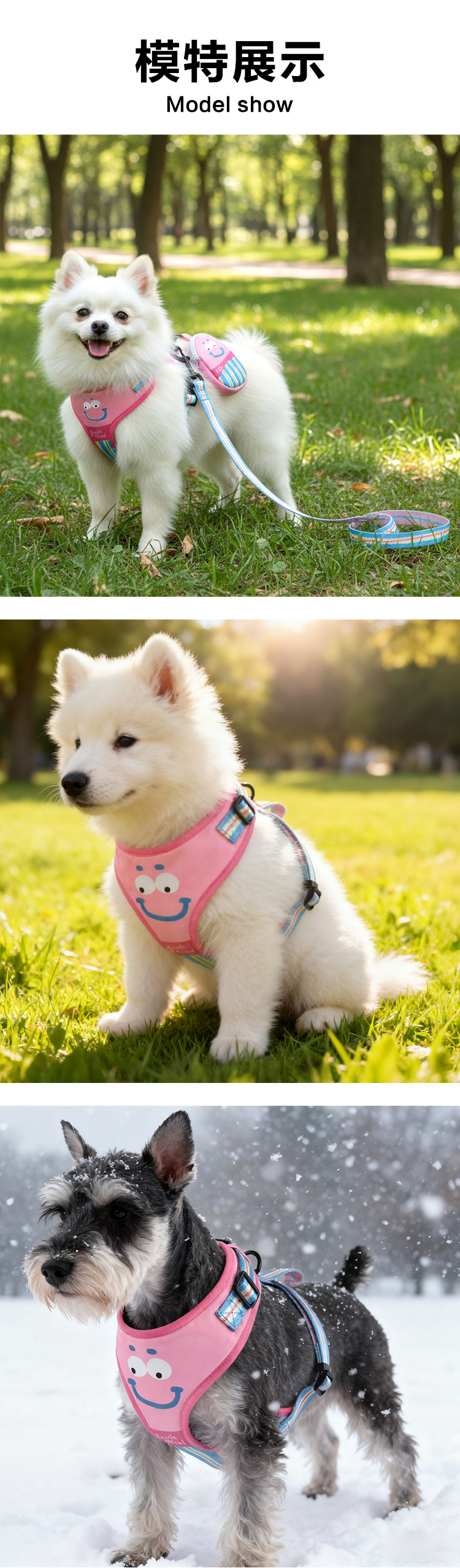 唛迪宠物用品BSCI工厂时尚新款配色猫咪狗狗胸背带牵引绳遛狗绳项圈详情6