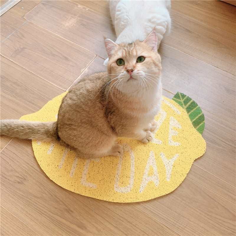 可爱水果猫砂垫草莓柠檬香蕉桃子猫咪垫子猫砂盆猫厕所防外溅地垫跨境出口家用地垫立体硅藻泥脚垫卫生间防滑门口浴室吸水地垫膨胀详情7