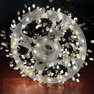 Cross-border LED firecracker lights, copper wire lights, string green wires, centipede feet, indoor and outdoor festival courtyard decorative lights, Christmas colored lights pic 1