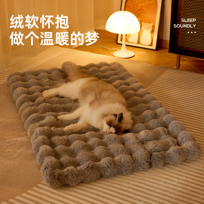泡泡绒四季通用保暖地垫宠物猫垫狗狗垫保暖防滑防摔纯色毛绒坐垫跨境出口浴室卫生间地垫双格子简约家用卧室床边地毯厨房进门入户详情6