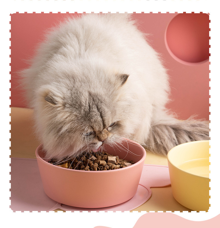 Large-capacity pet ceramic bowl, simple matte underglaze color dog food bowl, cat bowl and dog bowl, universal, easy to clean and anti-tipping pic 9