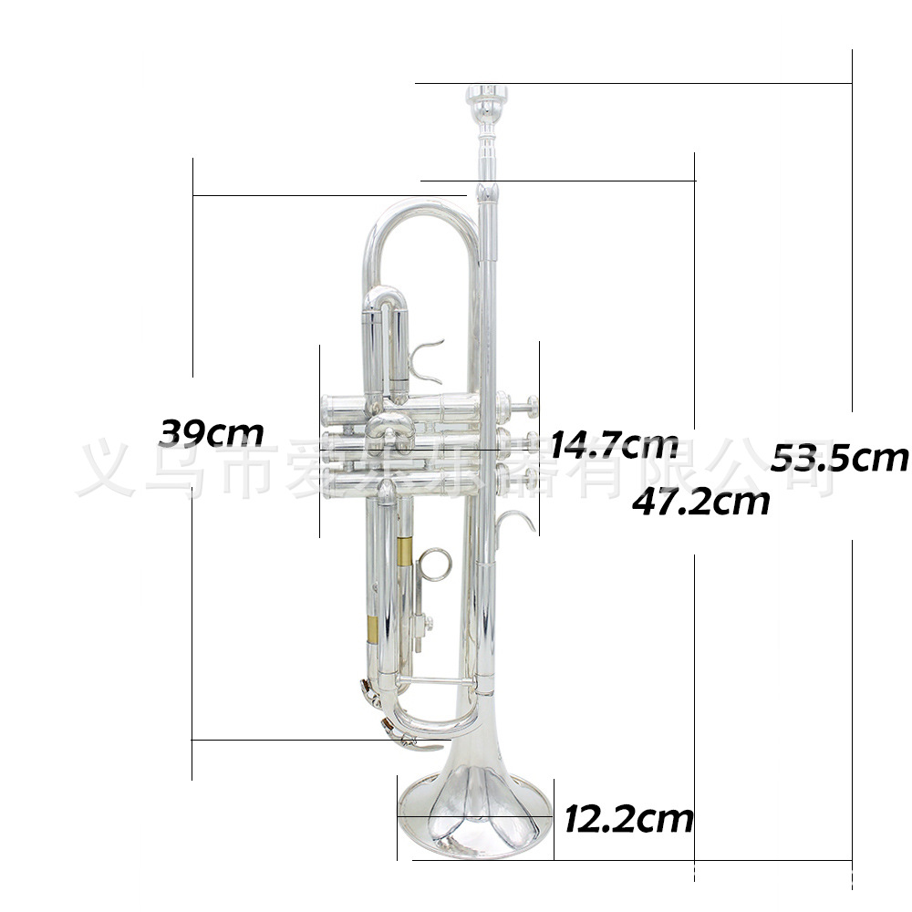 Student and adult performance of Trumpet, a brass trumpet in B-flat pic 5