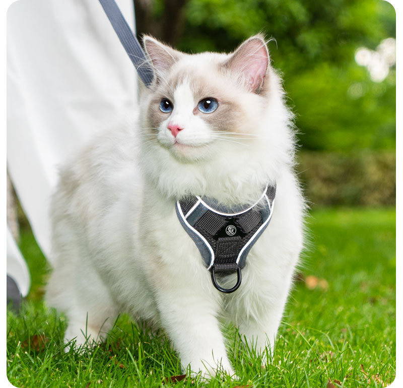 Cat leash vest pet chest and back strap cat walking rope chest and back anti-escape cat leash breathable anti-escape pic 16