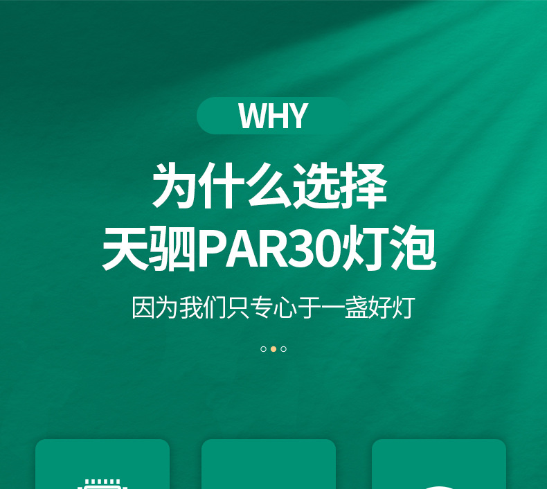 LED射灯PAR35W聚光灯泡轨道灯光源服装店商场酒店超市E27COB光源详情5