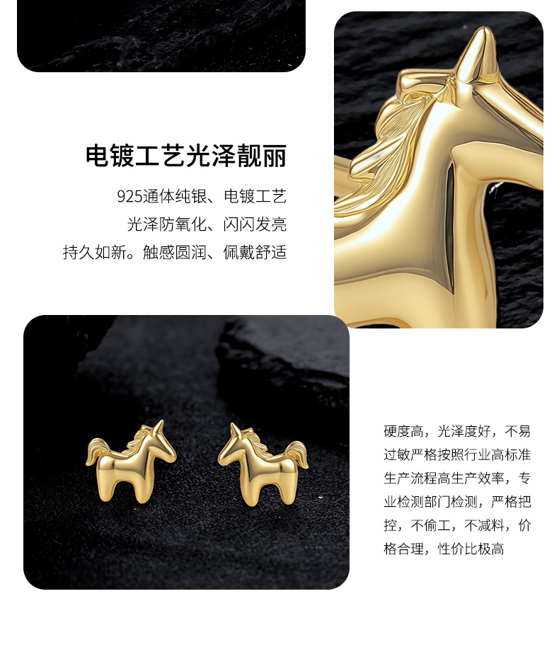 Zhuoheng Select New AliExpress earrings, European and American cross-border S925 silver inlaid hip-hop style stud earrings, high-end and light luxury earrings pic 12