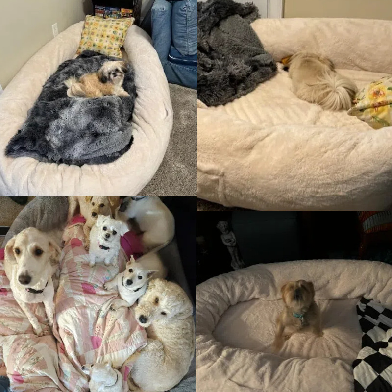 人类狗窝超大懒人沙发可睡可躺狗窝大型可睡人可水洗兔毛记忆海棉详情9