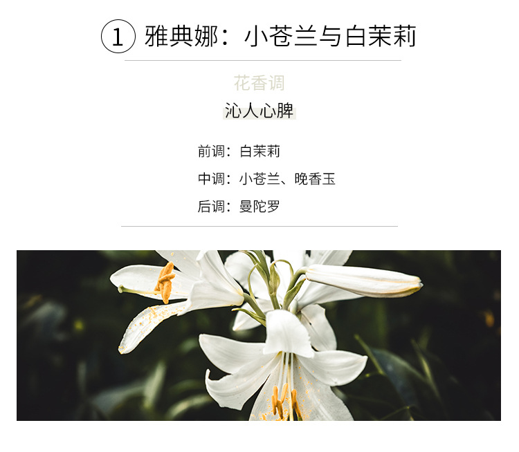 香薰蜡烛精油石膏香氛礼盒伴手礼卧室家用室内圣诞节礼物详情37