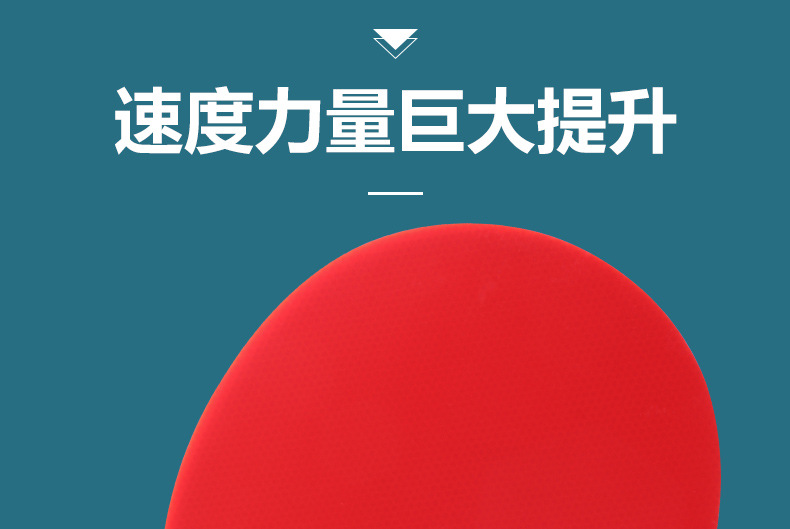 红双喜九星乒乓球拍七星八星天极蓝狂飙龙孙颖莎专业兵乓横拍正品详情4