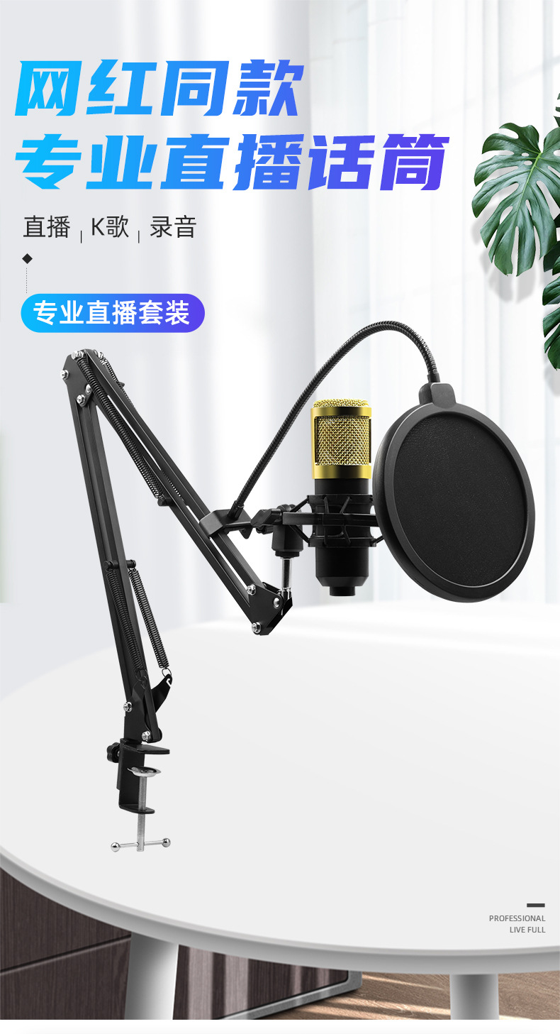 Cross-border BM800 condenser microphone, V8 mobile phone English sound card, computer usb cantilever stand live streaming set pic 2