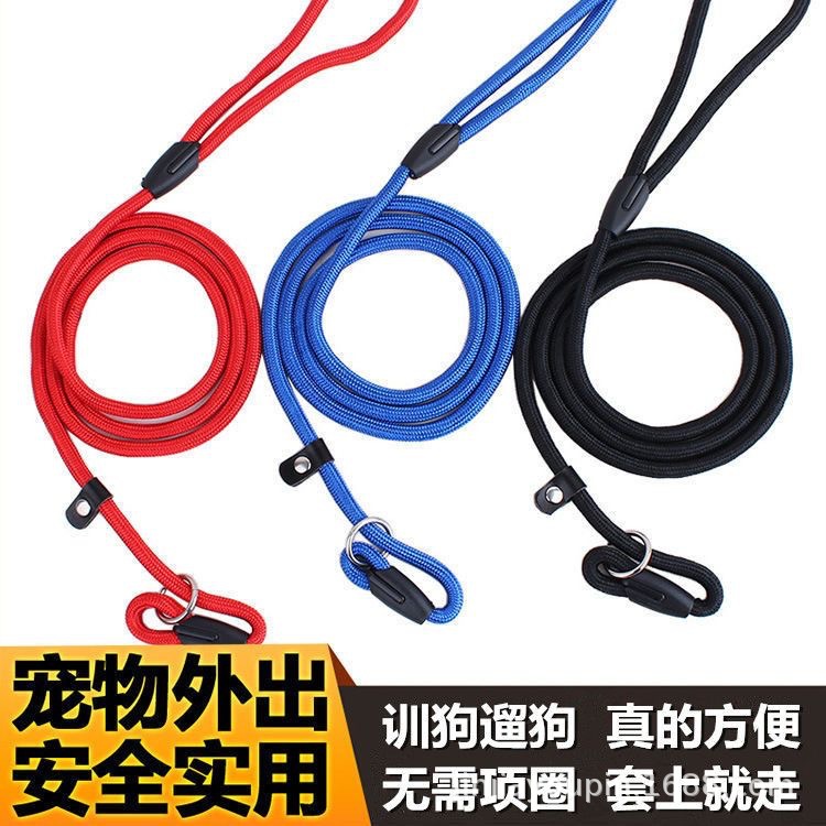 Pet dog leash chain supplies, P-chain dog walking leash, explosion-proof p leash, medium and large-sized golden Retriever pic 7