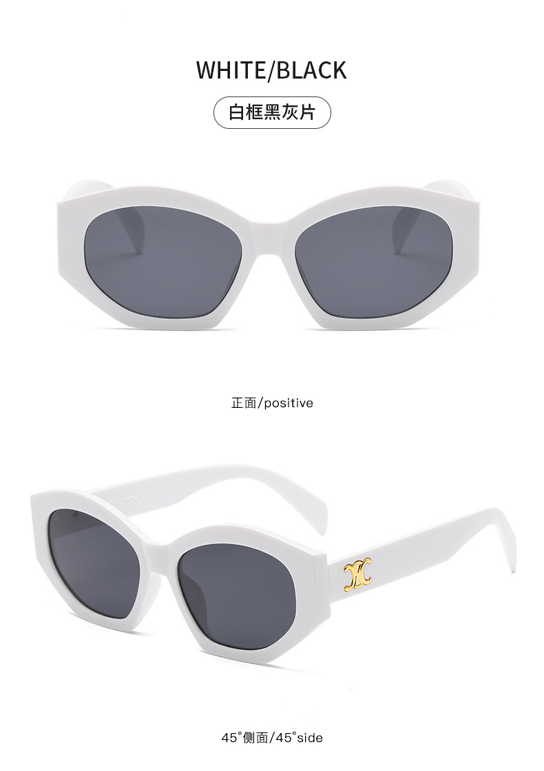 Retro triumph snow sunglasses for women, a new type of high-end oval angular sunglasses for sun protection and shading pic 34
