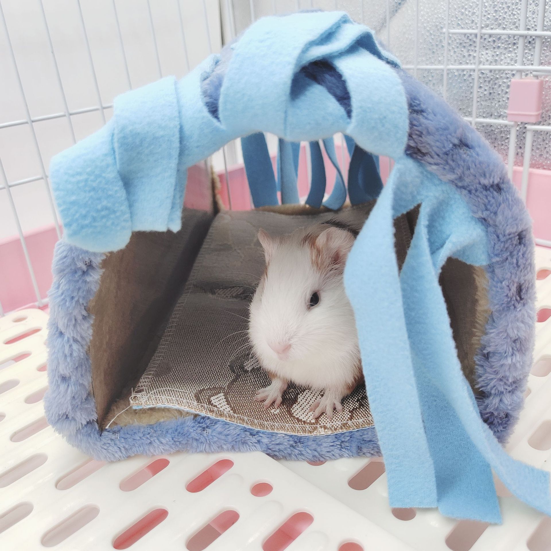 仓鼠豚鼠兔子流苏隧道窝 荷兰猪通道小型动物通道栖息场所隐蔽屋详情4