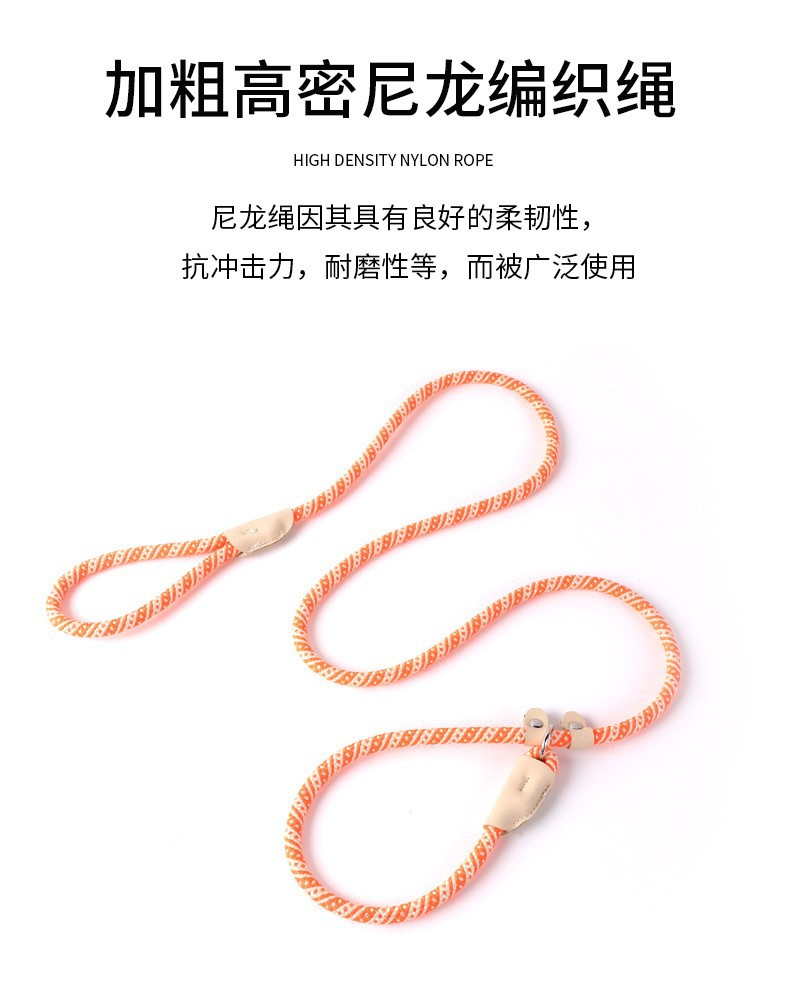 New cross-border pet leash for medium and large-sized dogs, universal safety dog chain, P-chain anti-loss dog walking leash pic 3