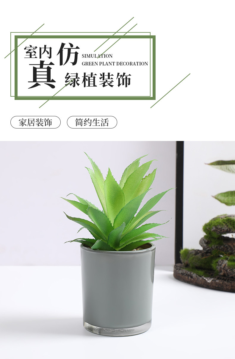 北欧风仿真款叶盆栽客厅装饰品办公室桌面迷你绿植小摆件厂家直销详情1
