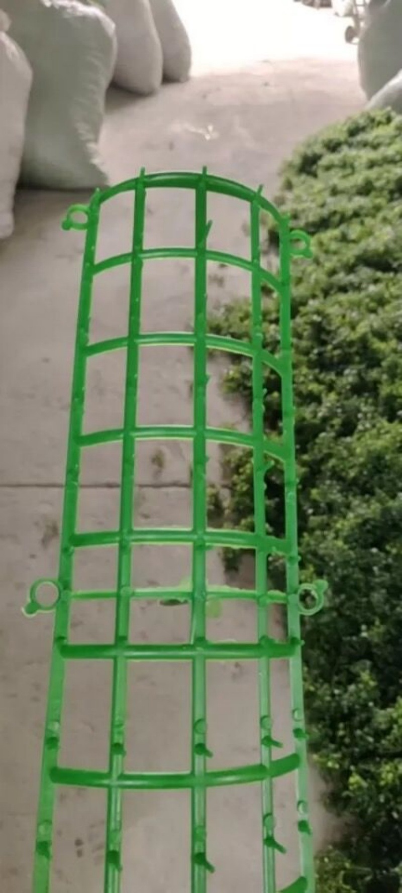 QQ图片20240724195559_副本