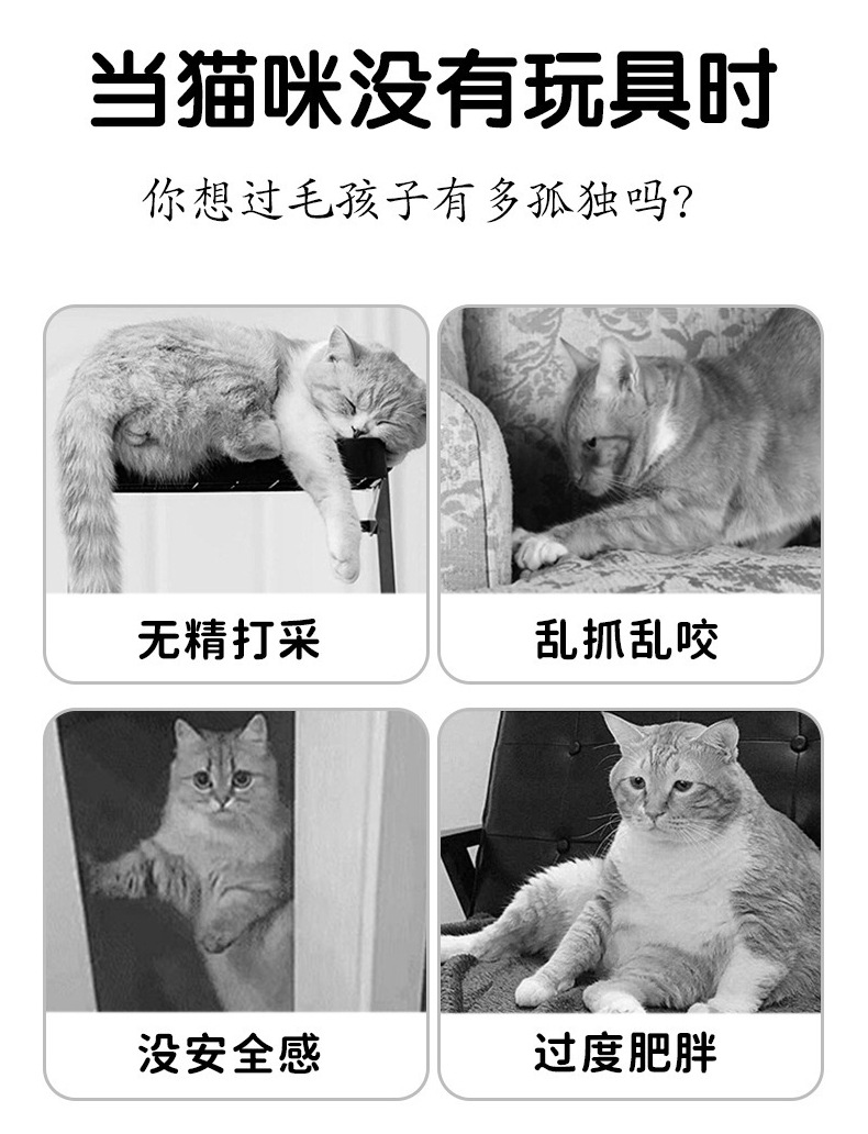 亚马逊新款炫彩老鼠逗猫玩具解闷陪伴磨牙啃咬玩具猫猫自嗨互动详情7