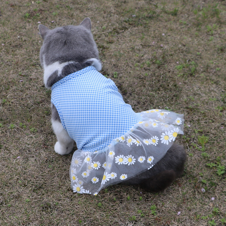 T宠物服凉感小狗猫咪连衣裙时尚甜美裙优雅公主蕾丝小雏菊宠物衣详情14
