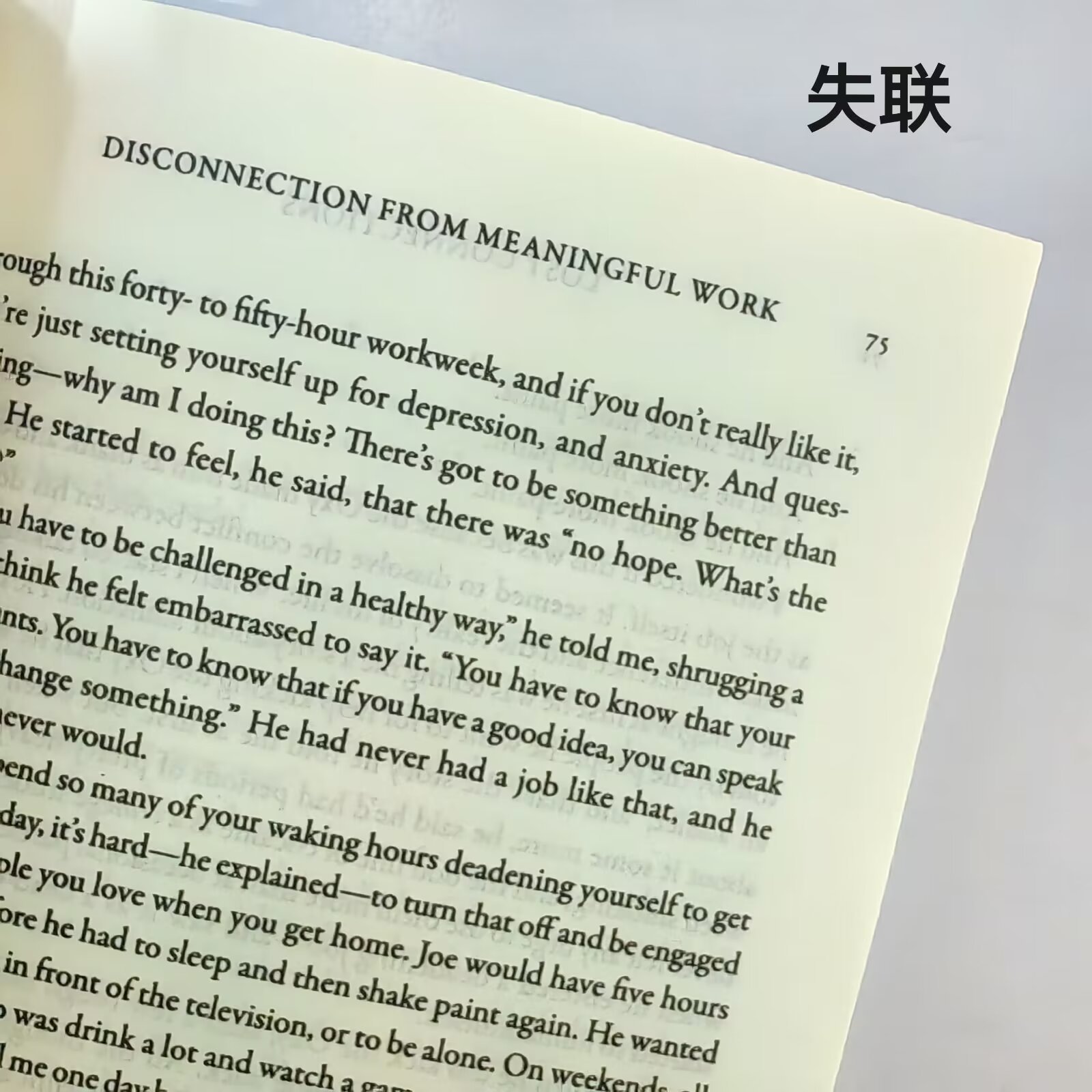 失联认识沮丧重获自信 TED演讲者约翰哈里英文版Lost Connections详情3