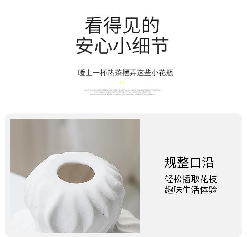 2025 Nordic ceramic vases, decorative items, dried flowers, flower arrangements, TV cabinets, home decorations, creative living room cross-border designs pic 5